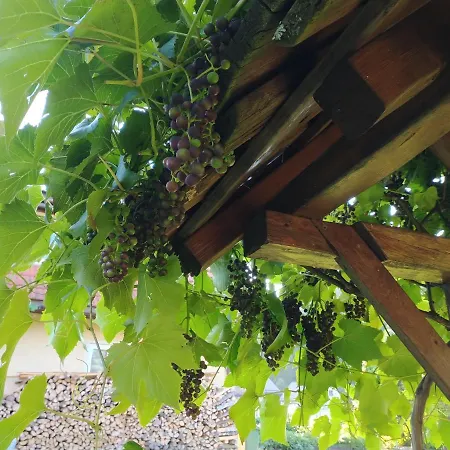 Winnica Spisz Agroturismo *