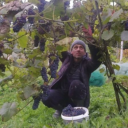 Feriegård Winnica Spisz Łapsze Niżne