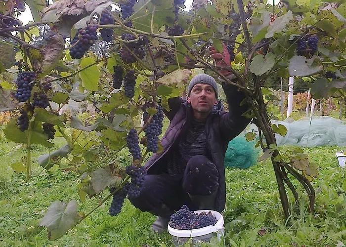 Çiftlik konaklama Winnica Spisz Łapsze Niżne